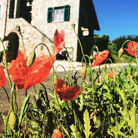 Bracelli Agriturismo Angio Nel Cere المظهر الخارجي الصورة