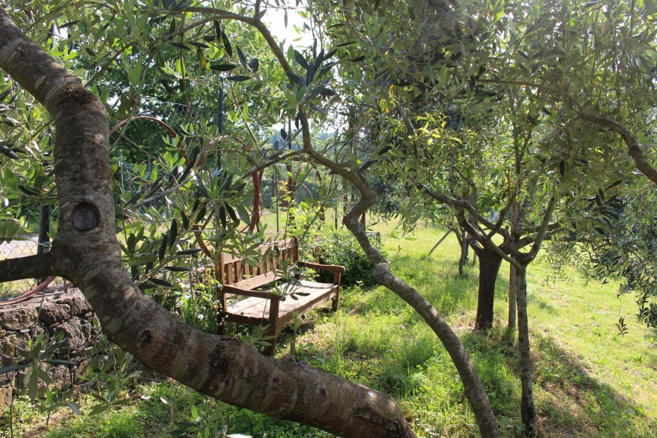 Bracelli Agriturismo Angio Nel Cere المظهر الخارجي الصورة