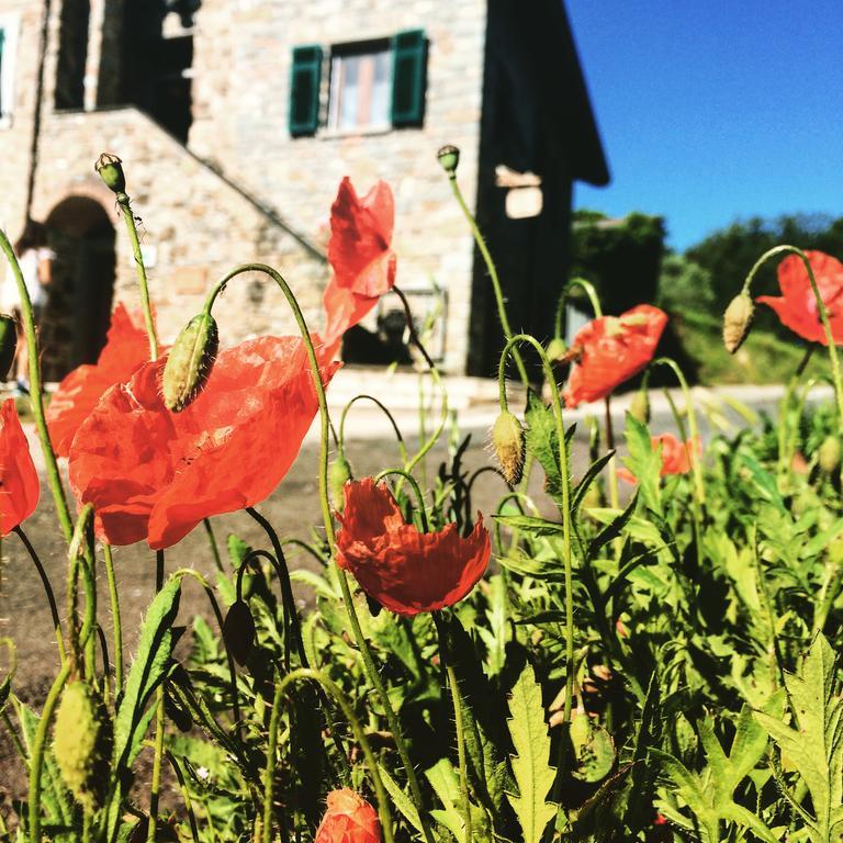 Bracelli Agriturismo Angio Nel Cere المظهر الخارجي الصورة