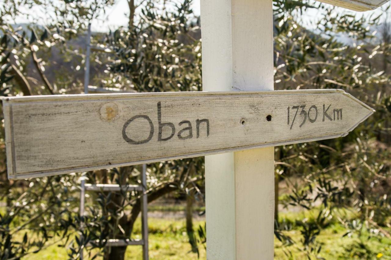 Bracelli Agriturismo Angio Nel Cere المظهر الخارجي الصورة