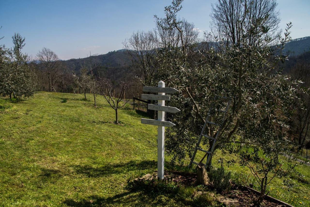 Bracelli Agriturismo Angio Nel Cere المظهر الخارجي الصورة
